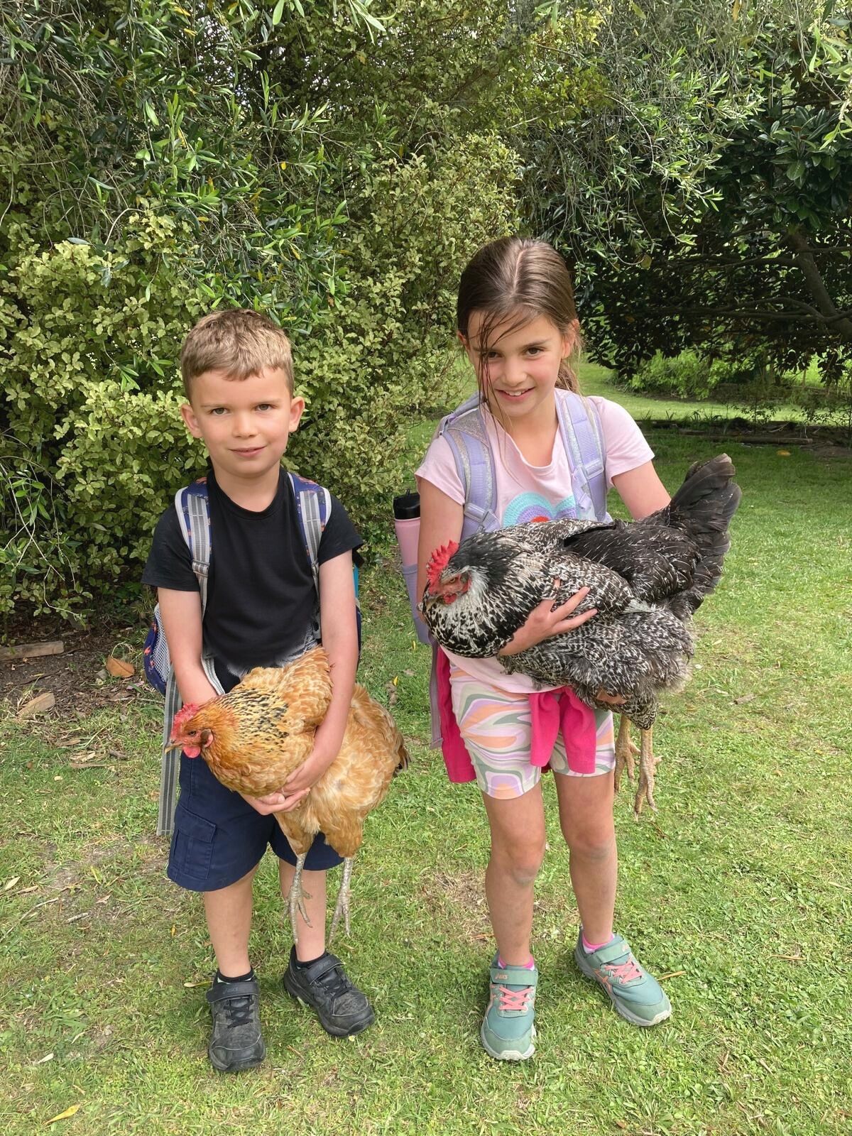 Children caring for chickens in Meraki's outdoor environment